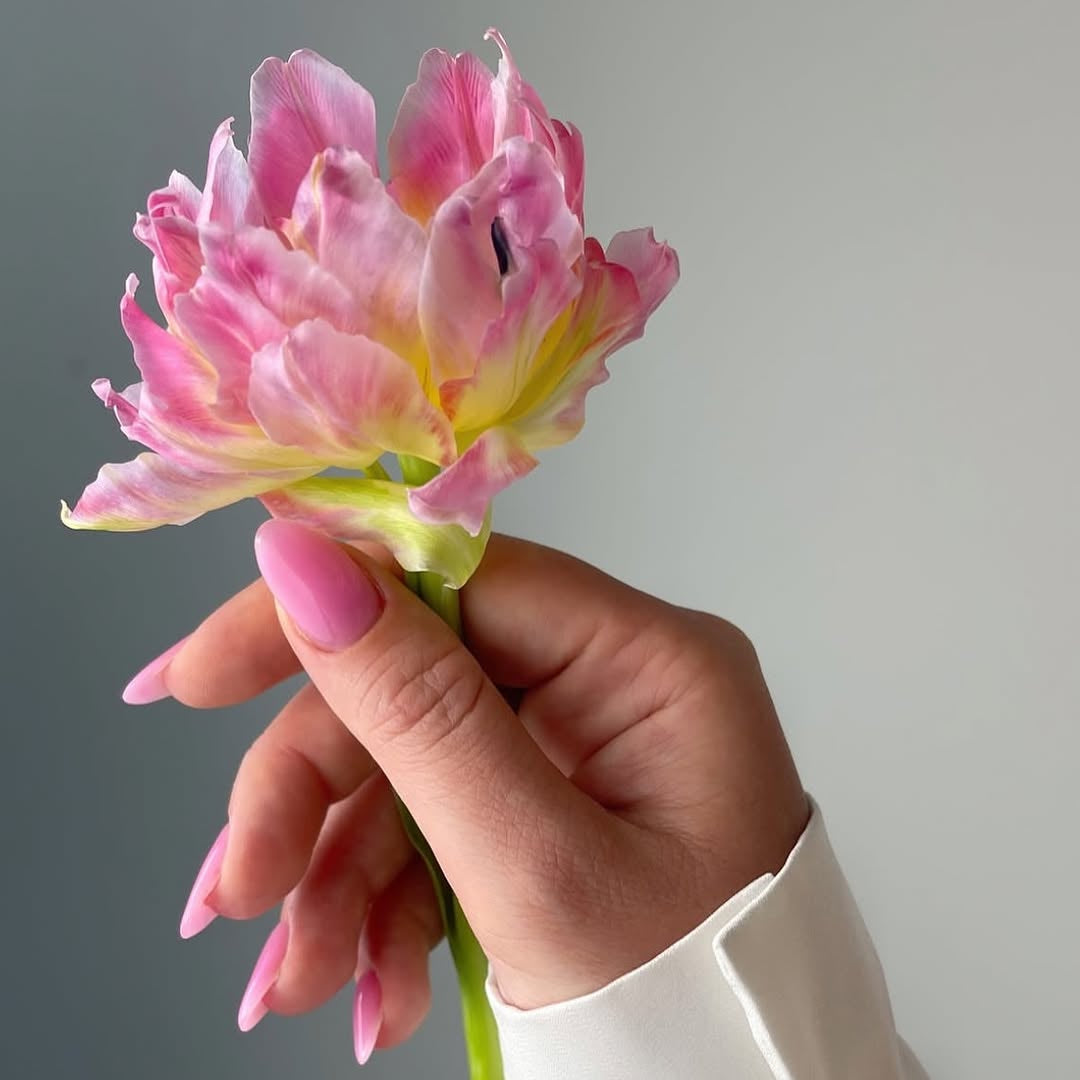Luxio Freesia