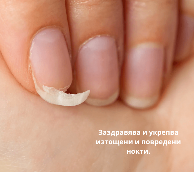 Заздравител за нокти Nail Barrier - 14мл